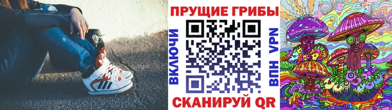 хочу наркоту  kraken ТОР  Псилоцибиновые грибы Magic Shrooms  Черемхово 